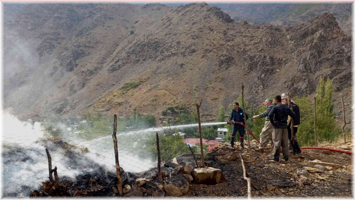 Hakkari'de 480 bağ ot yandı