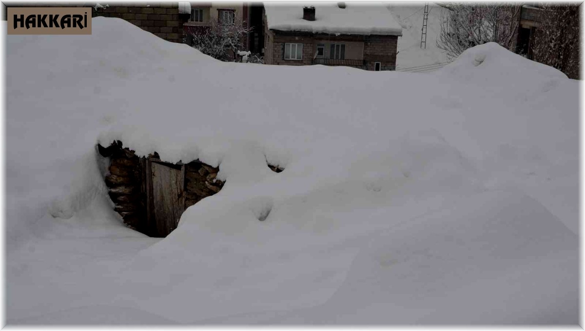 Hakkari'de 49 yerleşim yeri yolu ulaşıma kapandı