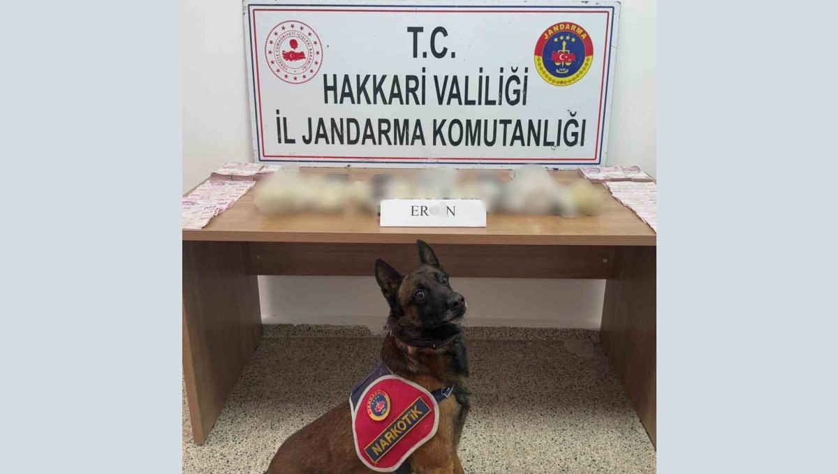 Hakkari'de 5 kilo 815 gram eroin ele geçirildi