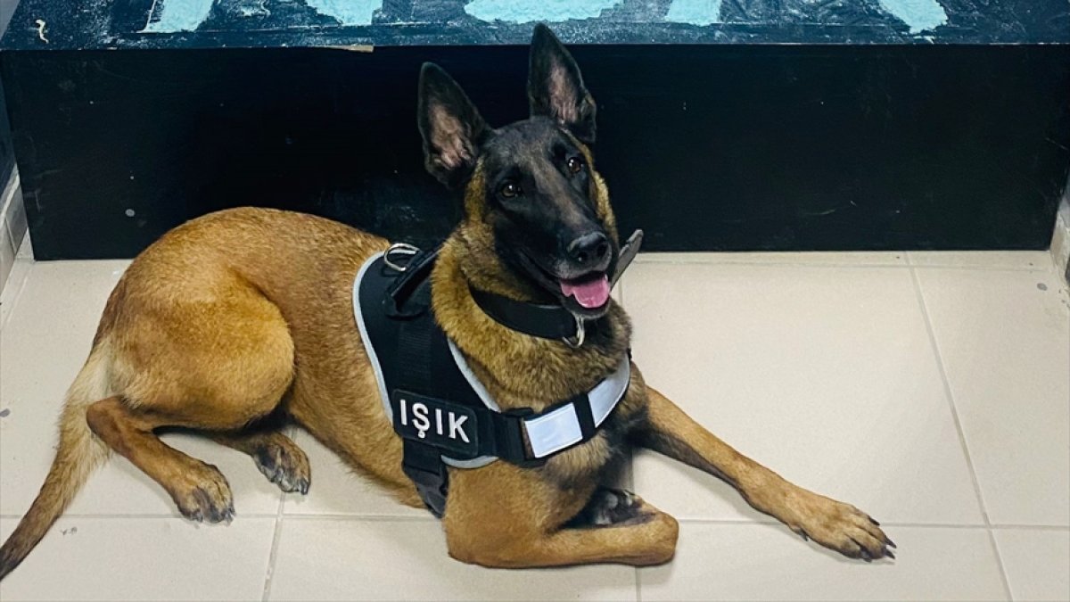 Hakkari'de 5 kilogram uyuşturucu ele geçirildi