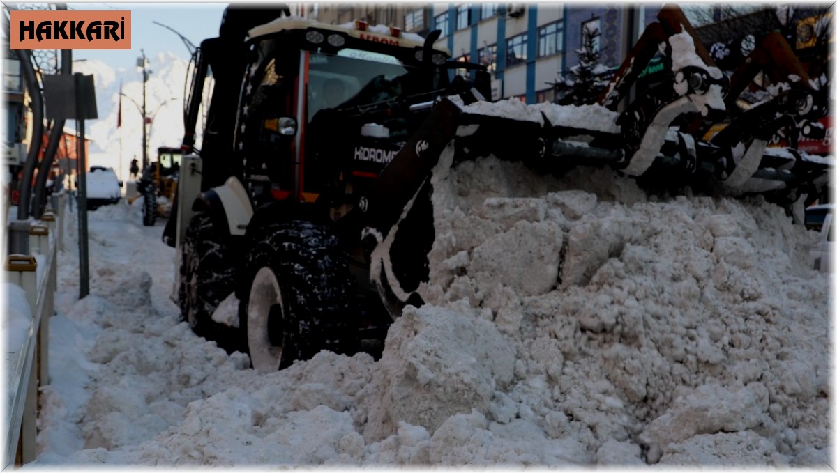 Hakkari'de 52 yerleşim yerinin yolu ulaşıma kapandı
