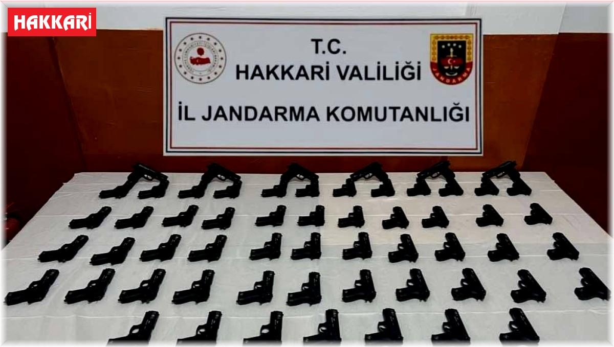 Hakkari'de 58 adet tabanca ele geçirildi