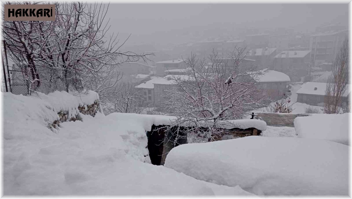 Hakkari'de 58 yerleşim yerinin yolu kapandı