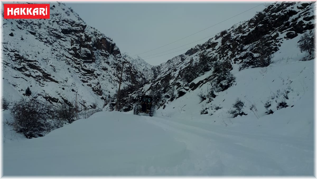 Hakkari'de 59 köy ve 181 mezra yolu kapandı