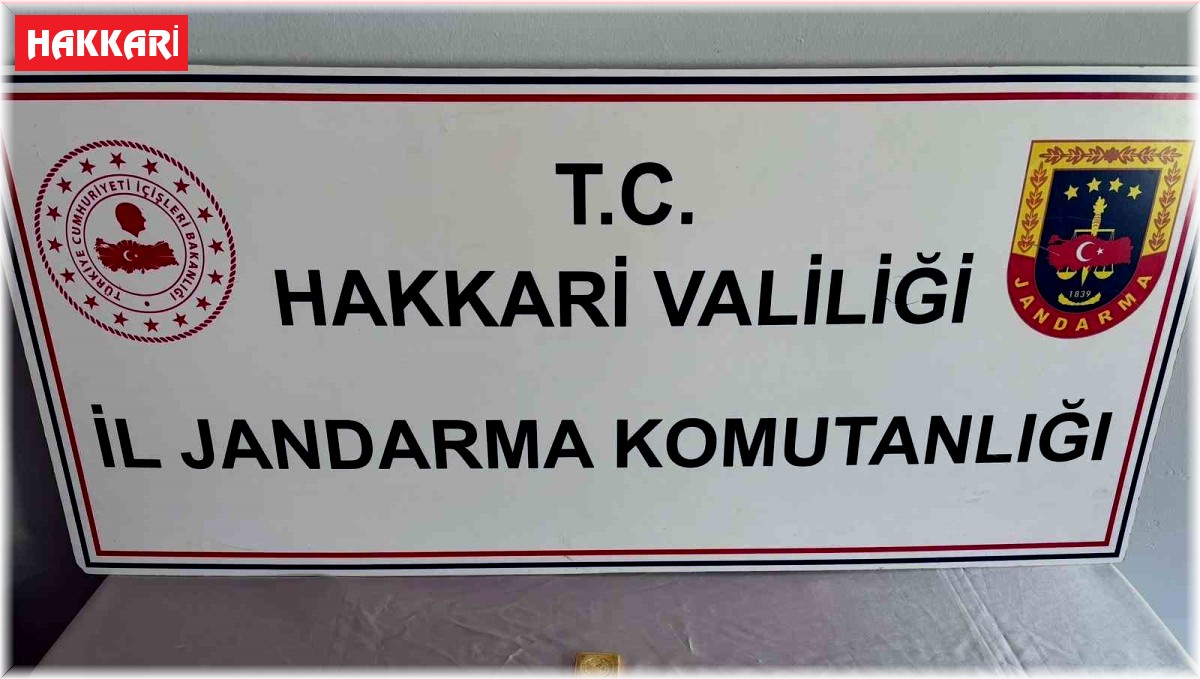 Hakkari'de 6 milyon 600 bin TL değerinde 3 kilo külçe altın ele geçirildi