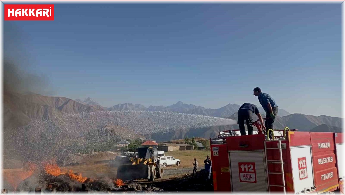 Hakkari'de 600 bağ otu ve kamyonet yandı
