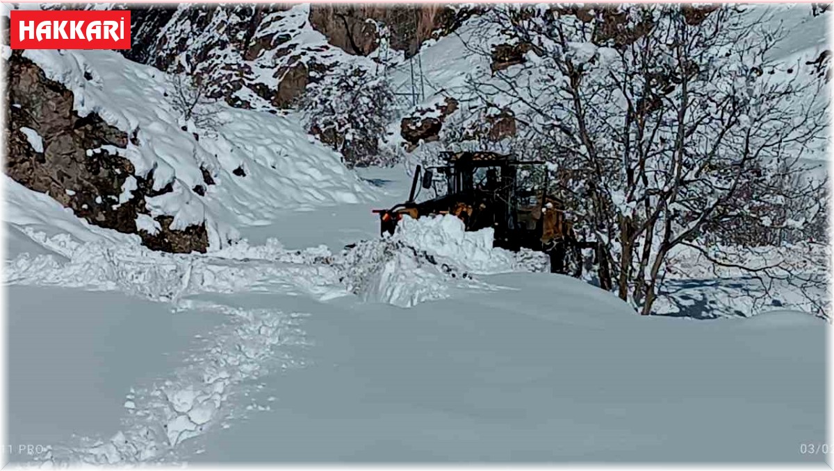 Hakkari'de 61 köy ve mezra yolu kapandı
