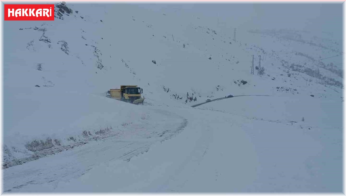 Hakkari'de 63 köy ve 178 mezra yolu kapandı