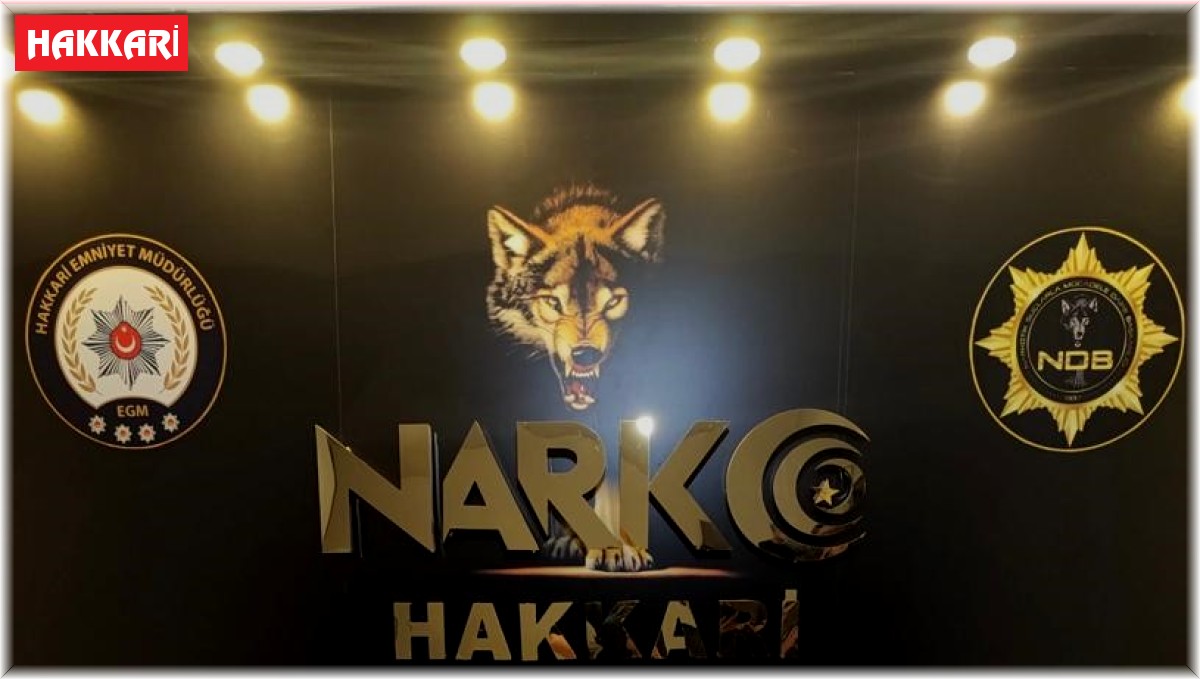 Hakkari'de 7 bin 490 ampul sentetik ecza ilacı ele geçirildi