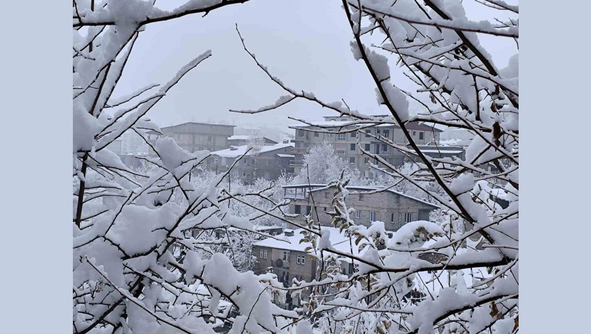 Hakkari'de 7 köy ve 18 mezra yolu için seferberlik