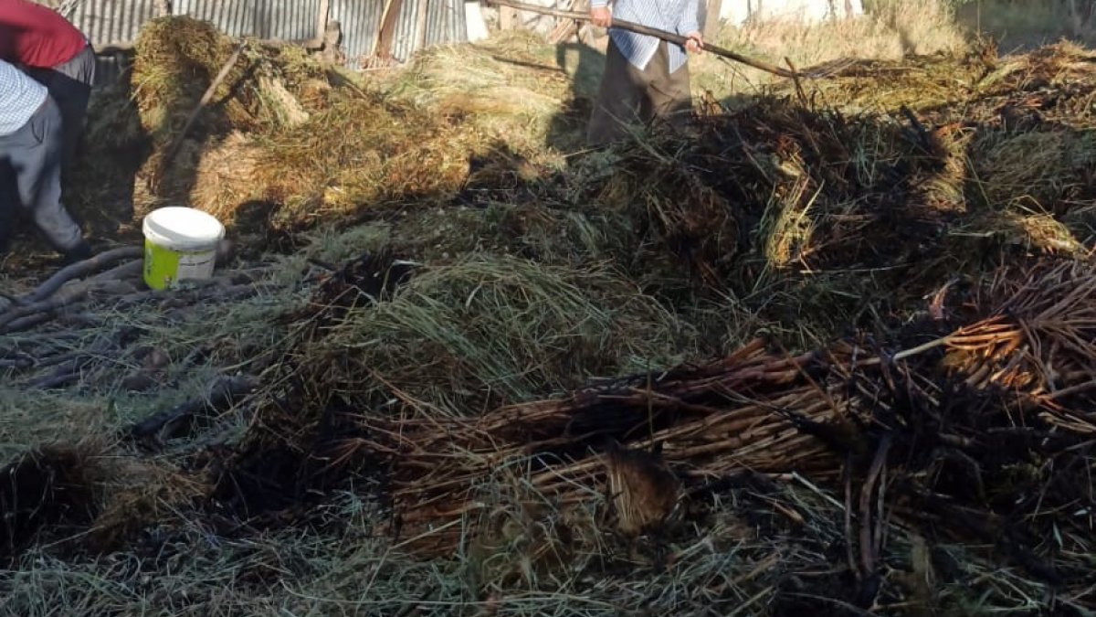 Hakkari'de 700 bağ ot yandı
