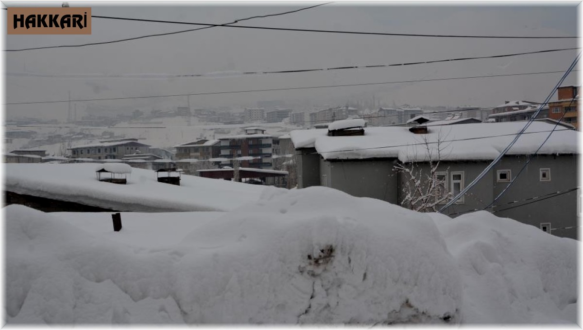Hakkari'de 78 yerleşim yerinin yolu ulaşıma kapandı