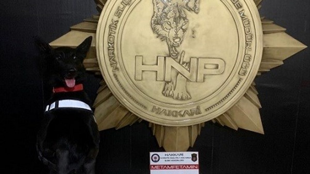 Hakkari'de 8 kilo 800 gram sentetik uyuşturucu ele geçirildi