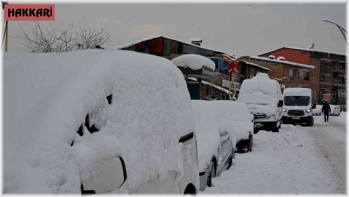 Hakkari'de 81 yerleşim yerinin yolu ulaşıma kapandı