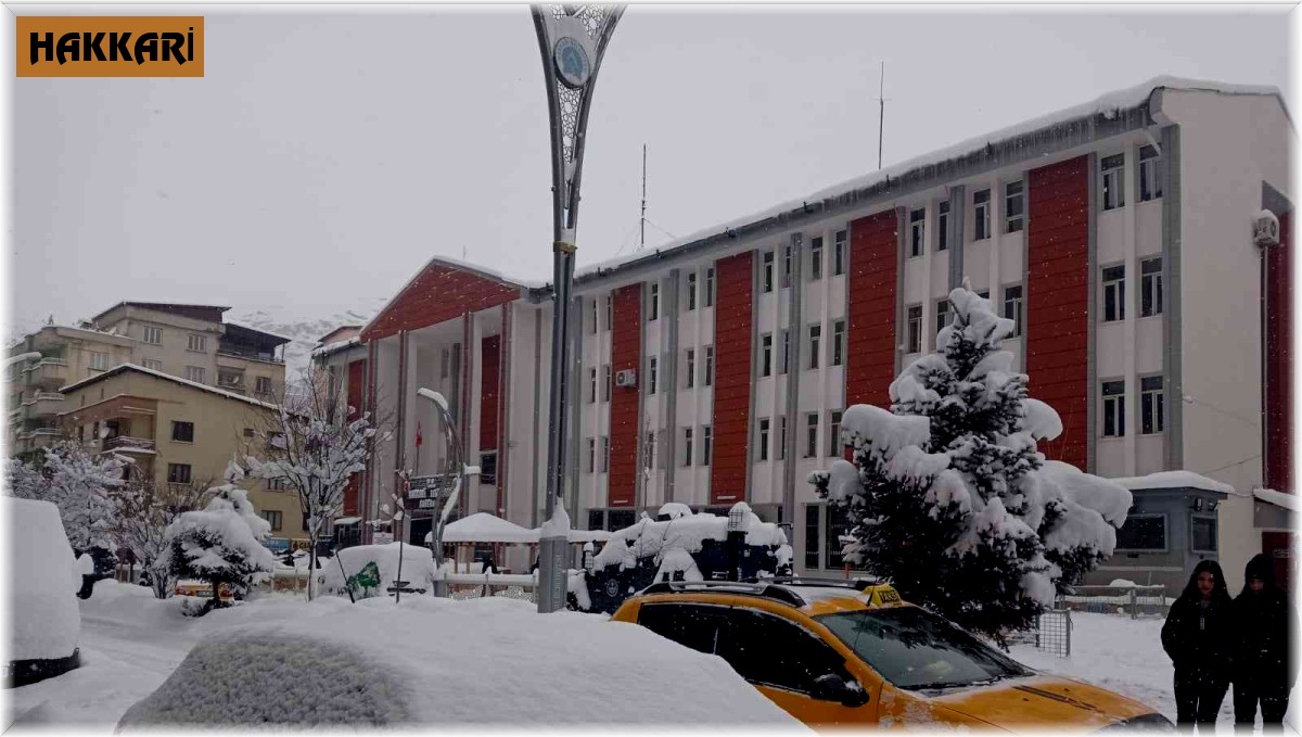 Hakkari'de 82 yerleşim yerinin yolu ulaşıma kapandı