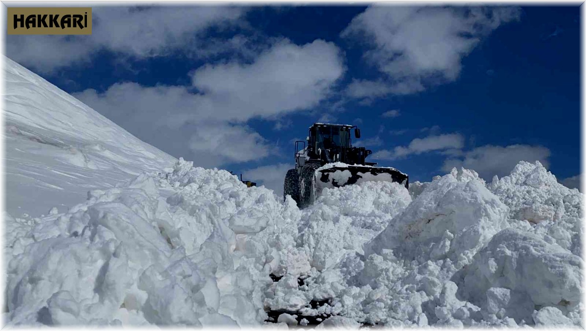 Hakkari'de 84 yerleşim yerinin yolu ulaşıma kapandı