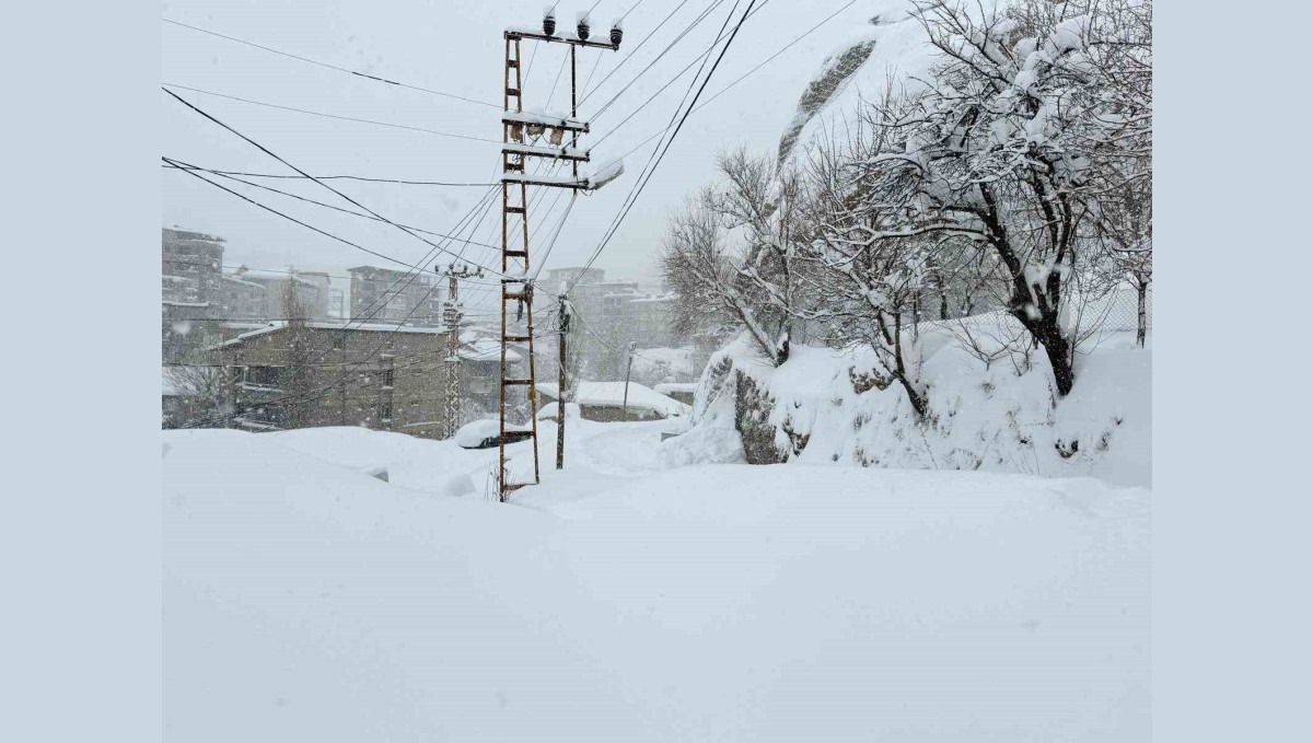 Hakkari'de 89 yerleşim yerinin yolu kapandı