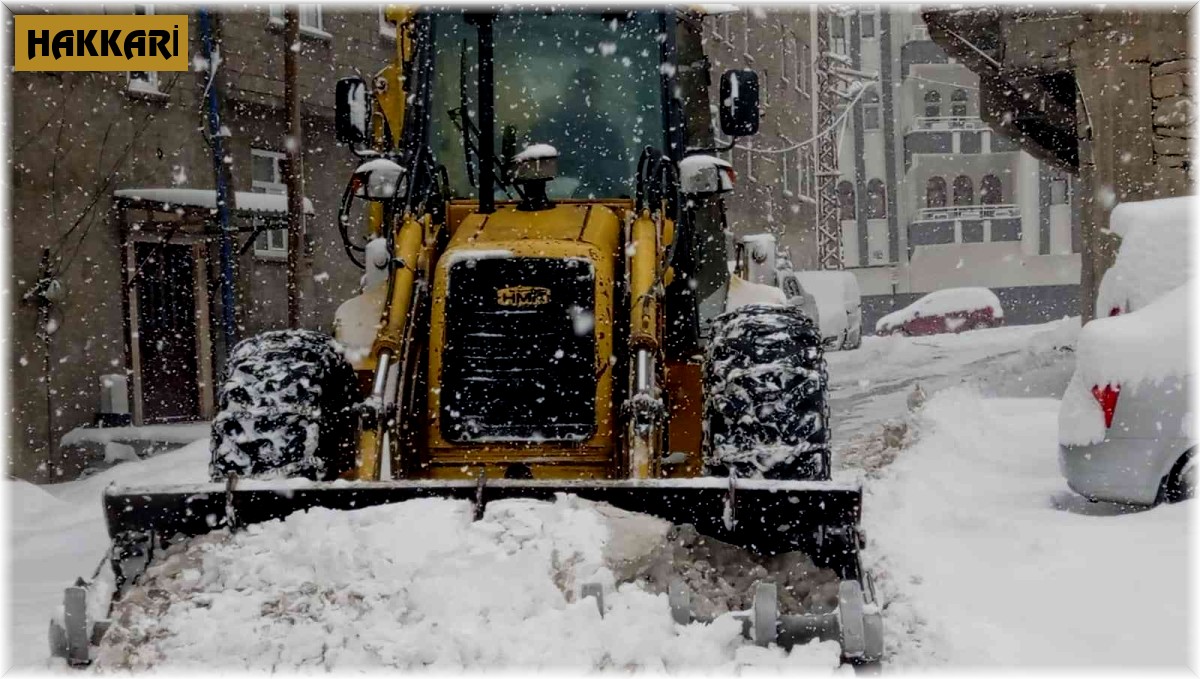 Hakkari'de 94 yerleşim yerinin yolu kapandı