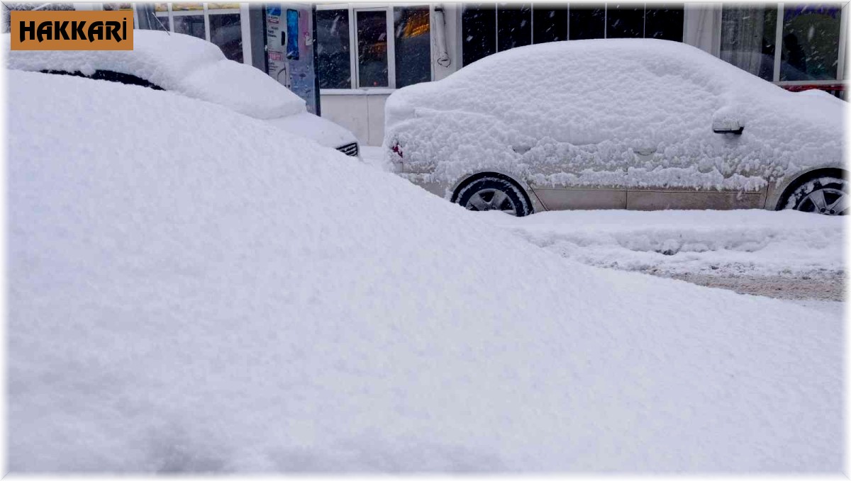Hakkari'de 95 yerleşim yerinin yolu kapandı