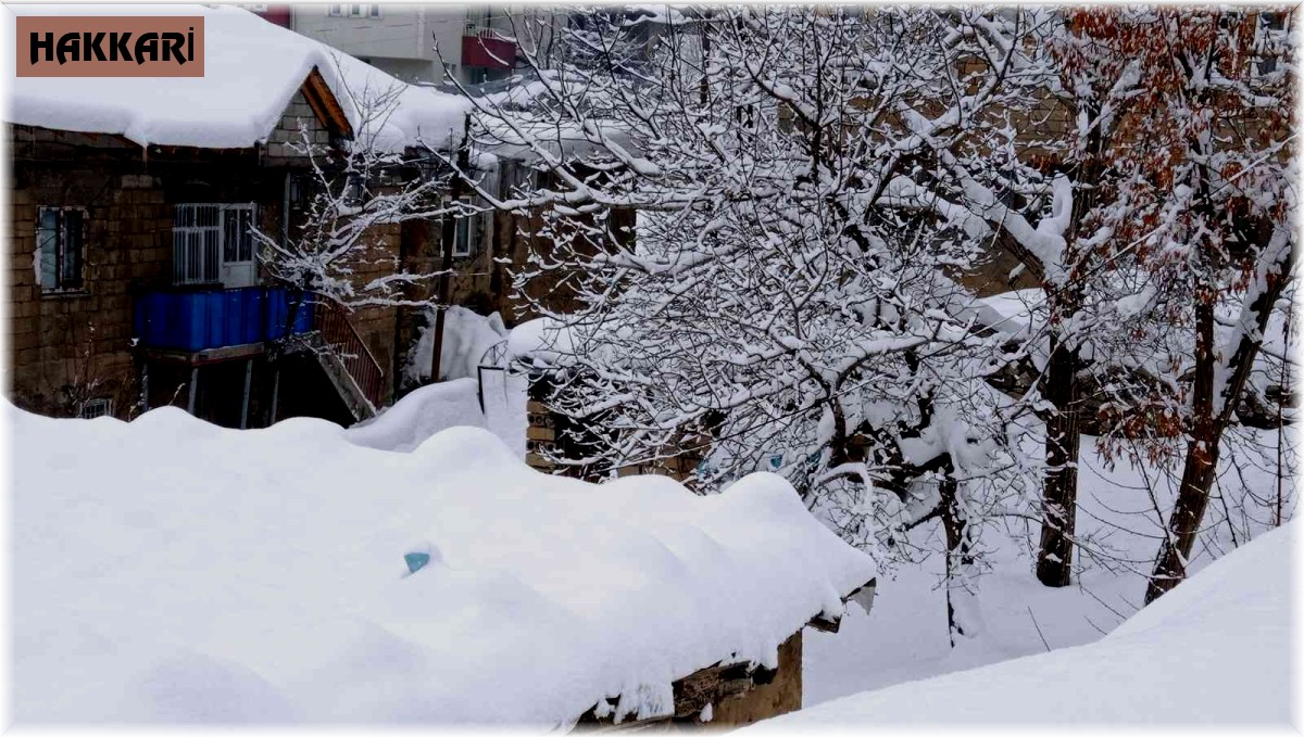 Hakkari'de 97 yerleşim yeri yolu ulaşıma kapandı
