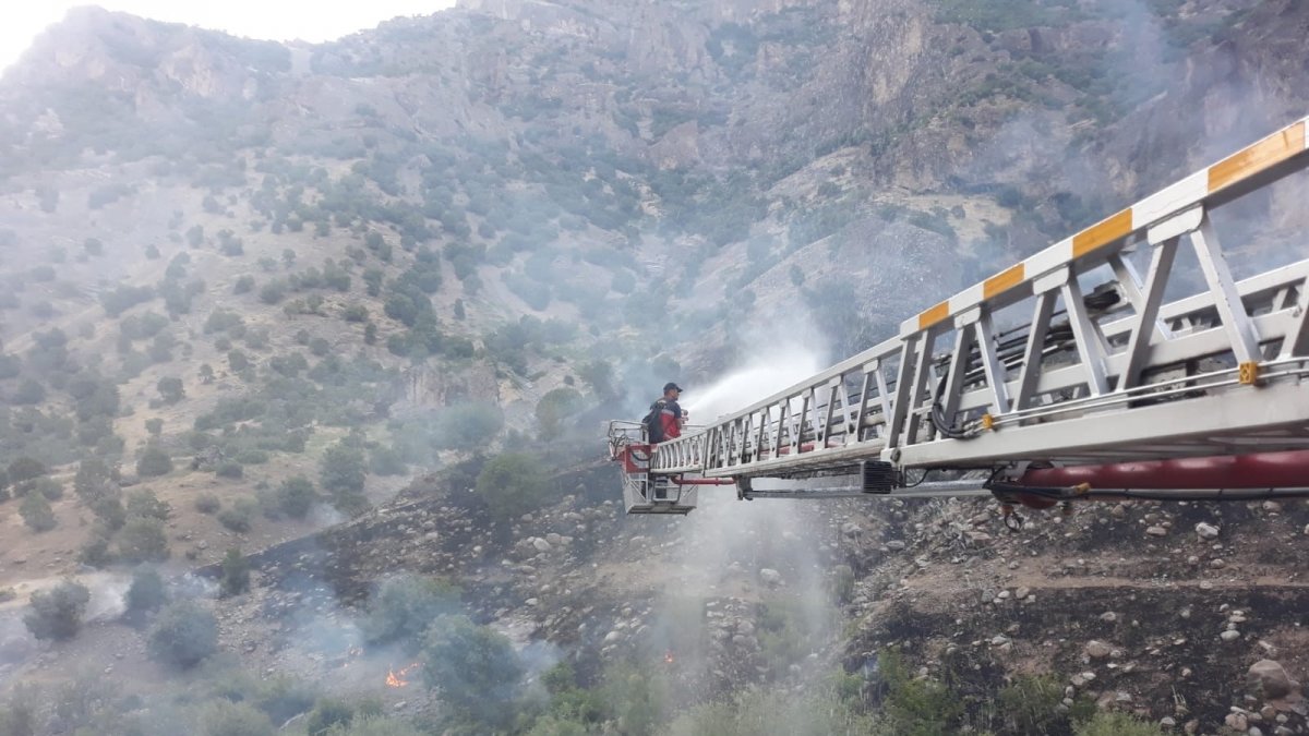 Hakkari'de ağaçlık alanda yangın