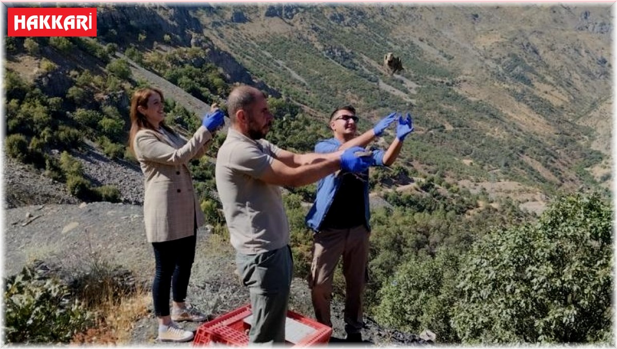 Hakkari'de bin 300 keklik doğaya bırakıldı