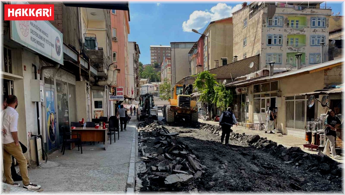 Hakkari'de bir cadde daha sanat sokağına dönüştürülüyor