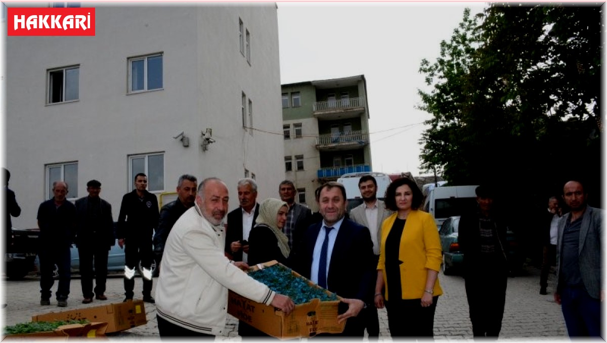 Hakkari'de çiftçilere karpuz ve domates fidesi dağıtıldı