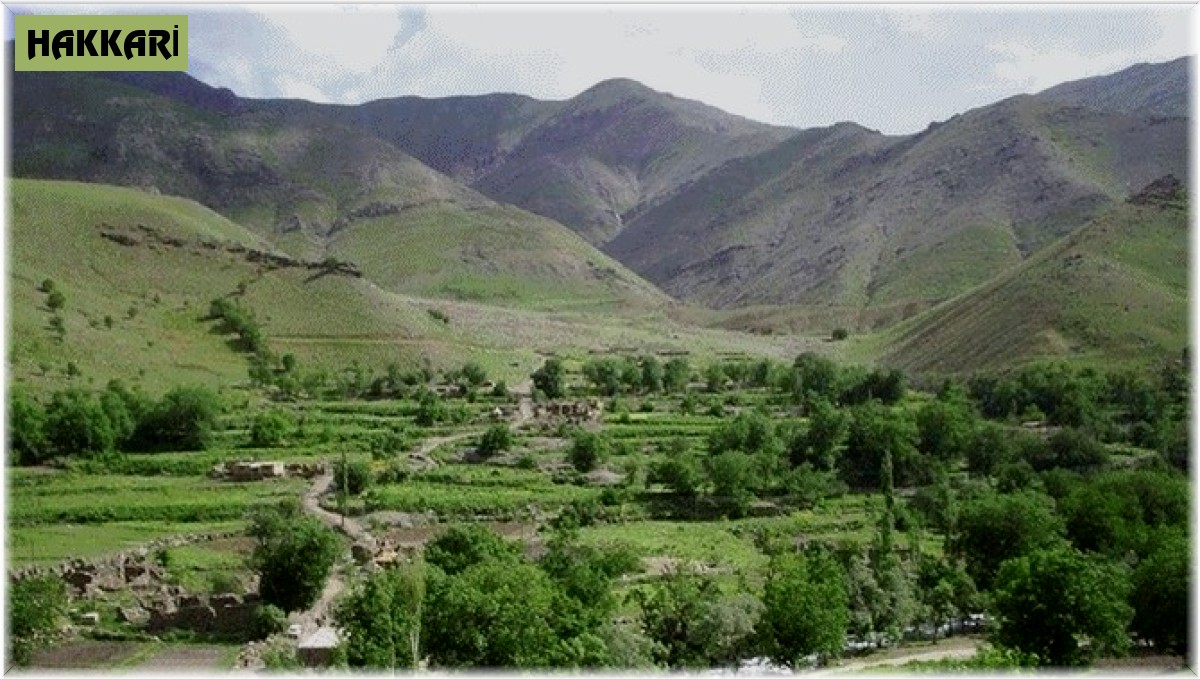 Hakkari'de düğün ve taziyeler için yeni karar