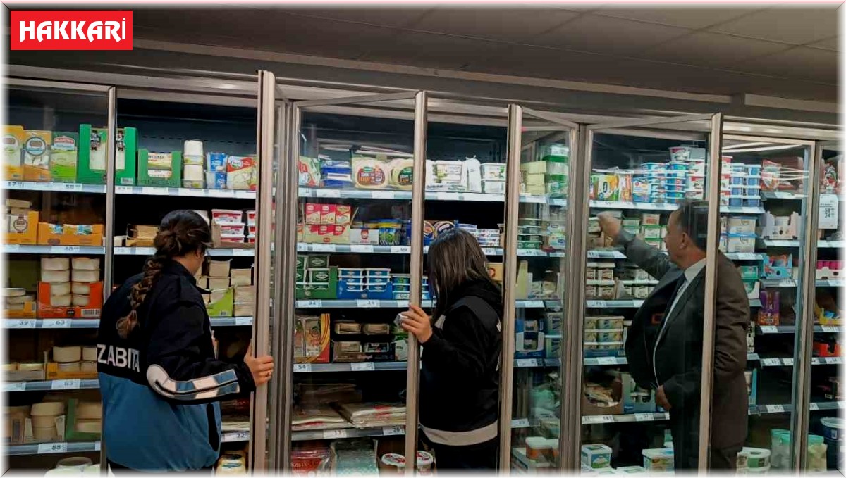 Hakkari'de geniş çaplı denetim