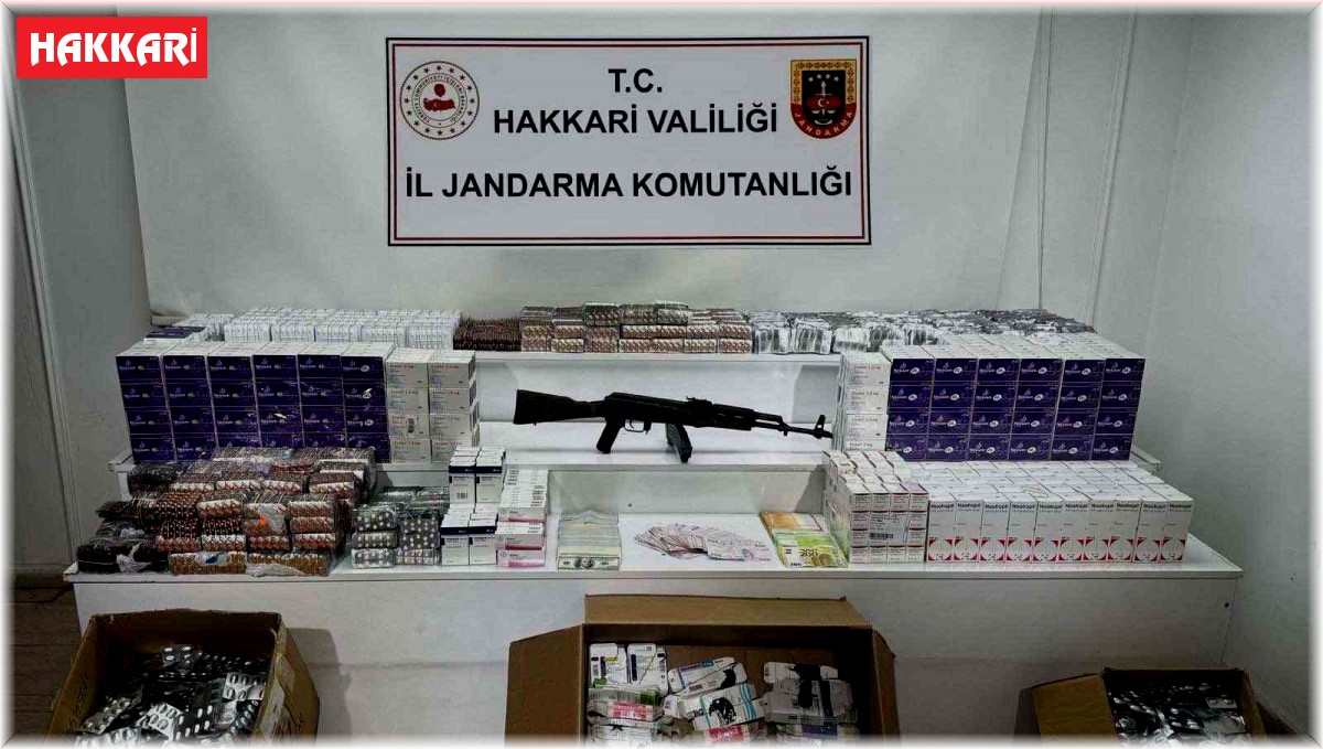 Hakkari'de göçmen kaçakçılarına operasyon: 12 gözaltı