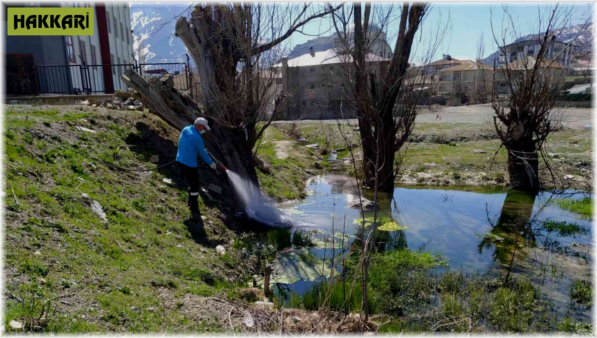 Hakkari'de ilaçlama çalışması başlatıldı