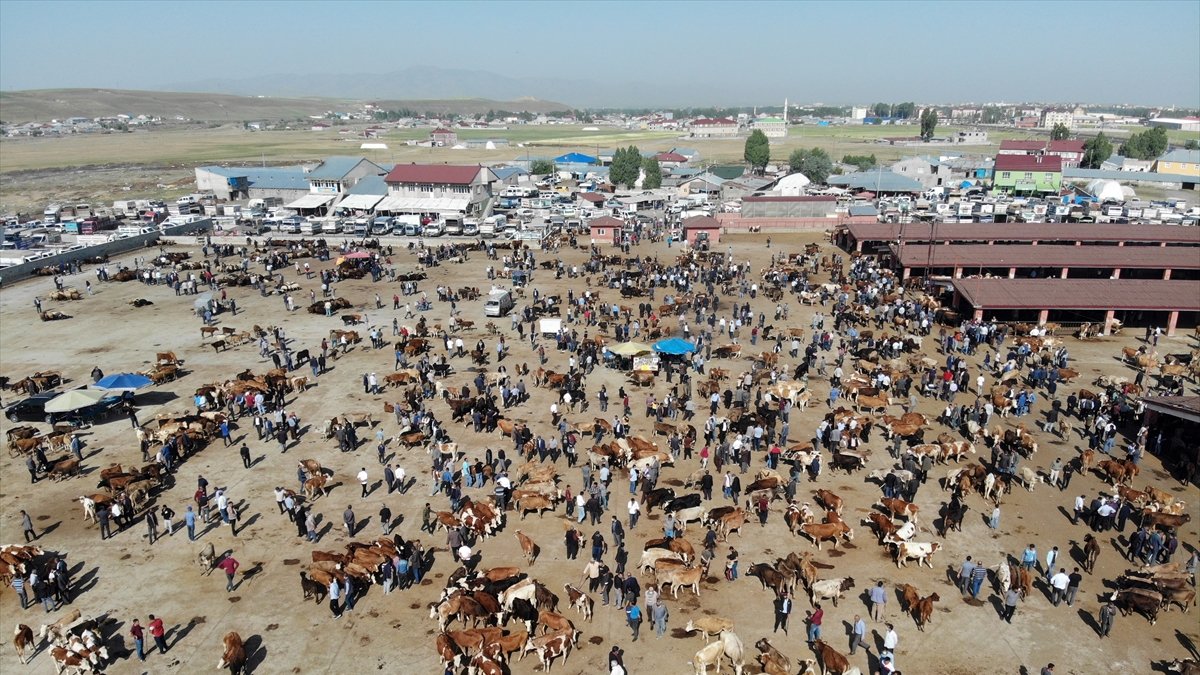 Hakkari'de İlköğretim Haftası kutlandı