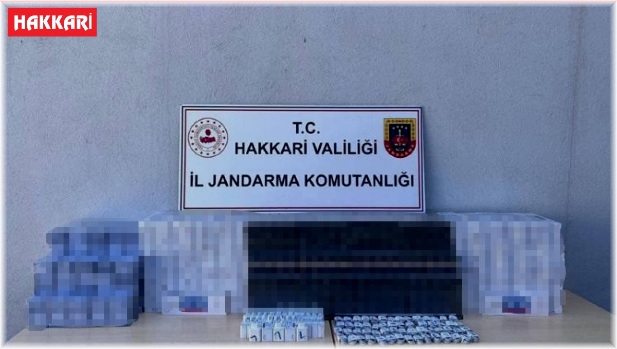 Hakkari'de kaçakçılık operasyonu