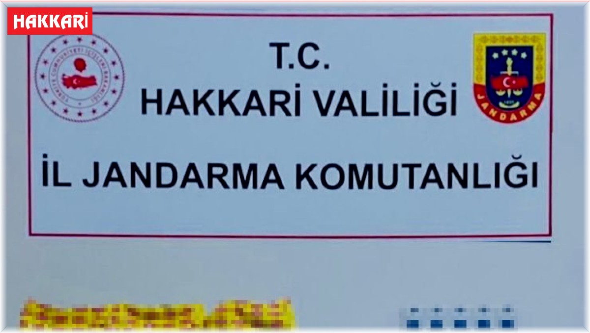 Hakkari'de kaçakçılık operasyonu
