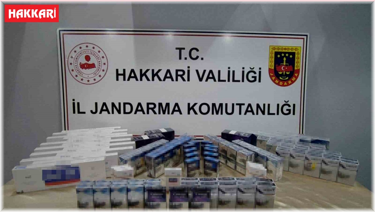 Hakkari'de kaçakçılık operasyonu