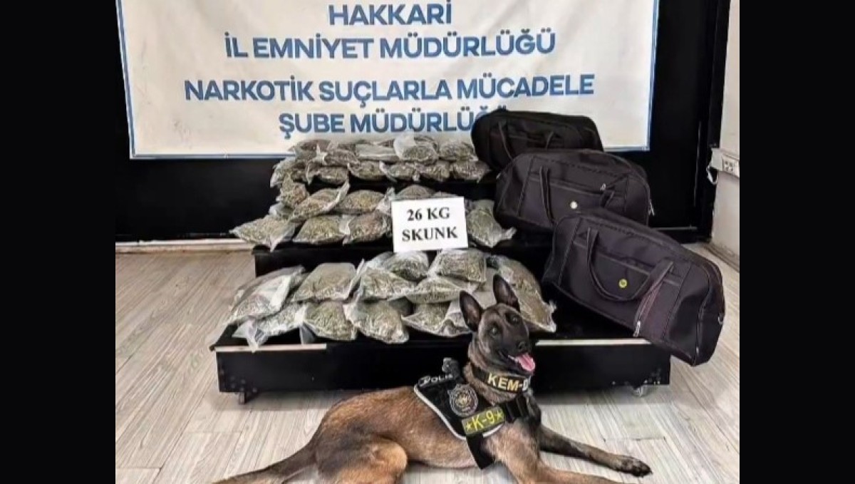 Hakkâri'de kamyonette 26 kilogram skunk ele geçirildi: 1 şüpheli tutuklandı