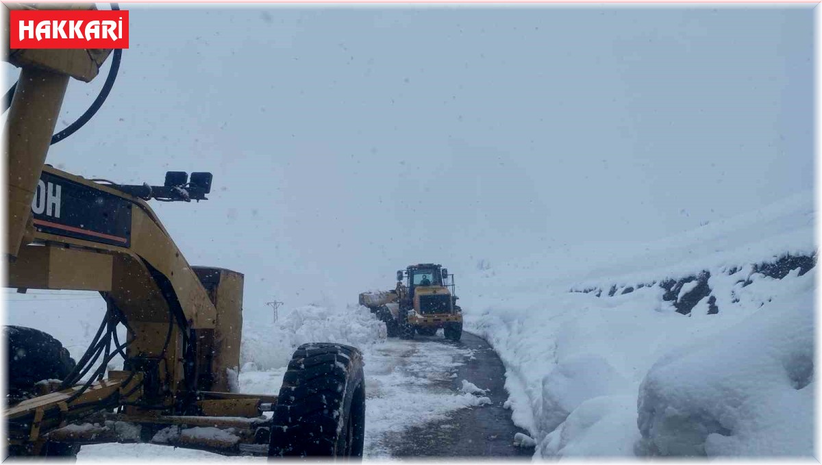 Hakkari'de kapanan 191 yerleşim yolu yeniden açıldı
