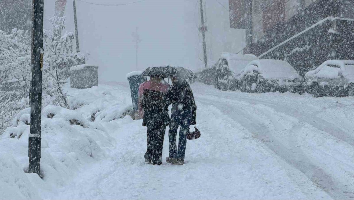 Hakkâri'de kar 20 köy ve 38 mezra yolu ulaşıma kapandı
