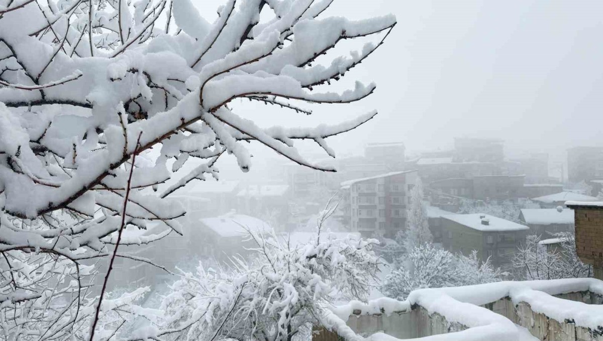 Hakkari'de kar afeti: Ekipler aralıksız çalışıyor