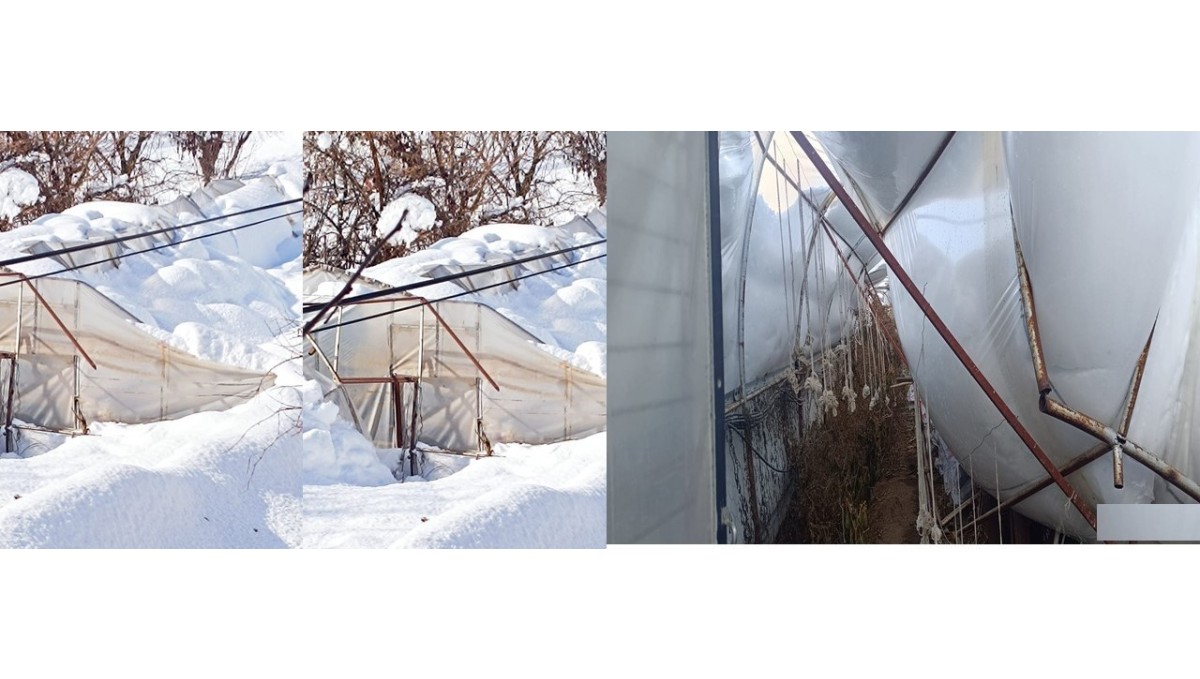 Hakkari'de kar seraları çökertti