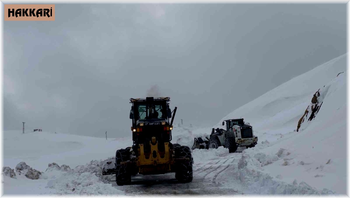 Hakkari'de kar tatili