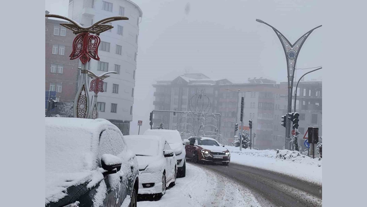 Hakkari'de kar ve sis etkili oluyor