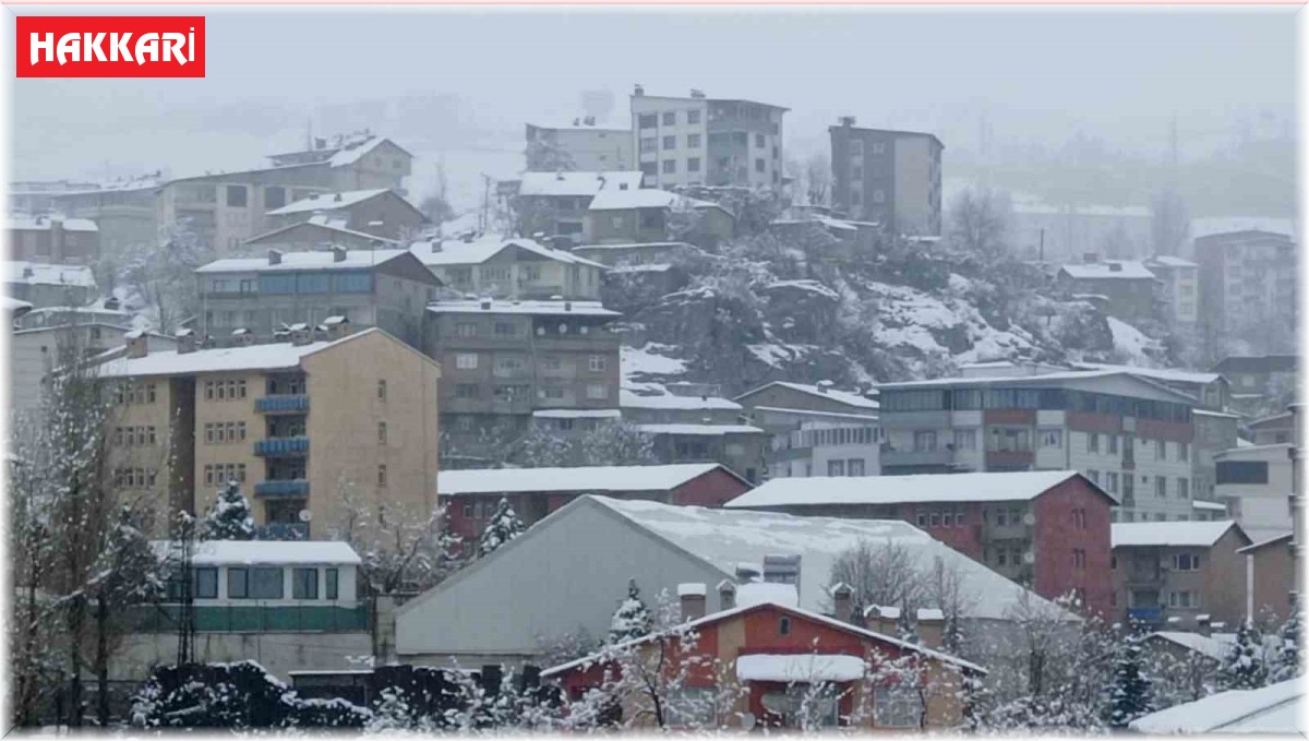 Hakkari'de kar yağışı