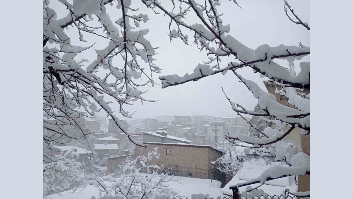 Hakkâri'de kar yağışı