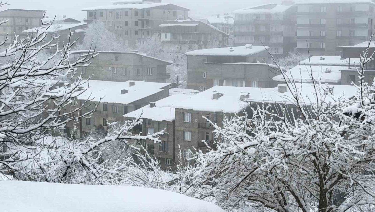 Hakkari'de kar yağışı
