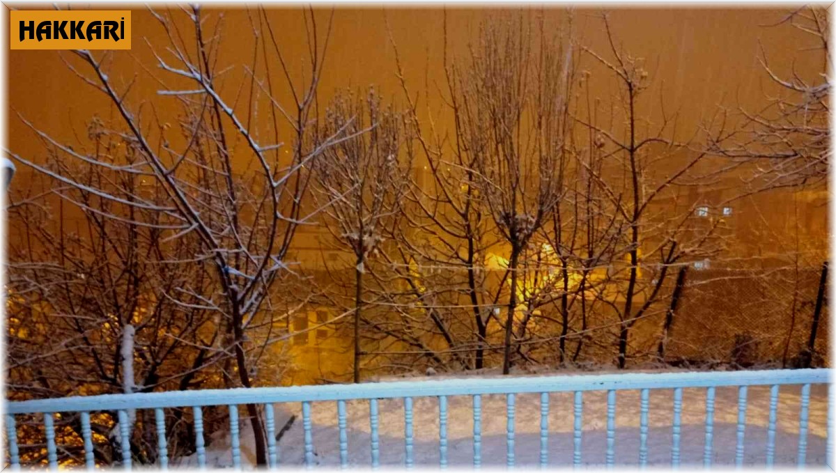 Hakkari'de kar yağışı etkili olmaya başladı