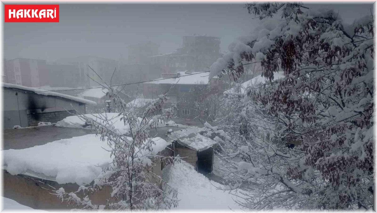Hakkari'de kar yağışı yerini soğuk havaya bıraktı