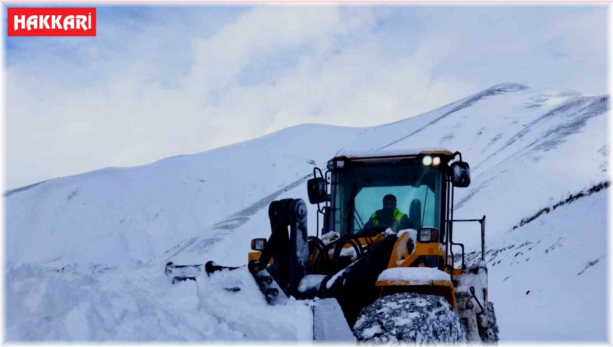 Hakkari'de kardan kapanan yollar tek tek açılıyor