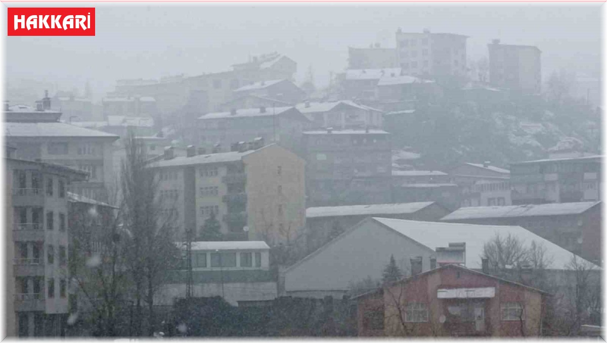 Hakkari'de karla karışık yağmur ve sis etkili oldu